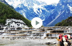 2017年鸿运国际科技团建-云南之旅