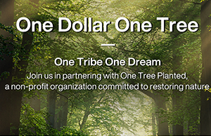 补登：关注情形；；；；；；ぃ，，，，践行低碳理念